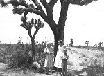 Thumbnail image for The 2011 Imaginary Family Project – Week 48