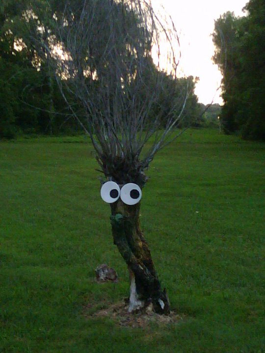 googley-eye-tree.jpg